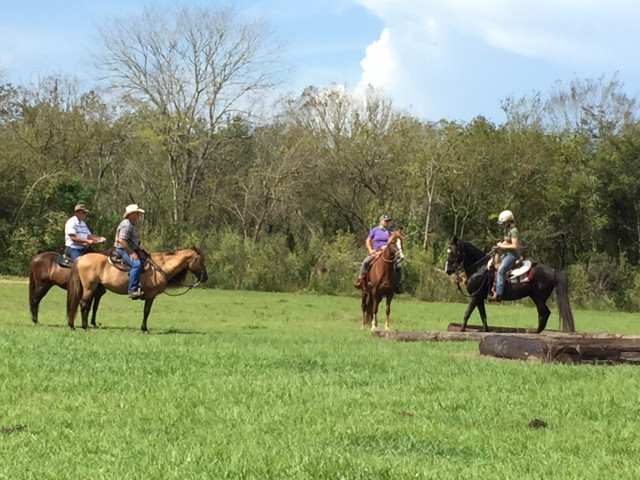 trail horse test oct 6 201821